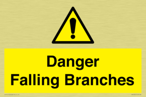 Danger Falling Branches
